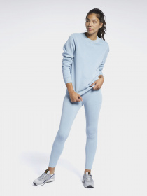 Свитшот Reebok CLASSICS NATURAL DYE CREW модель GP7891 Фото