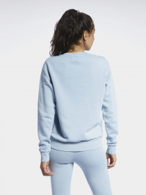 Світшот Reebok CLASSICS NATURAL DYE CREW модель GP7891 Фото