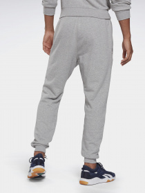 Штаны спортивные Reebok IDENTITY BIG LOGO модель GI9413 Фото