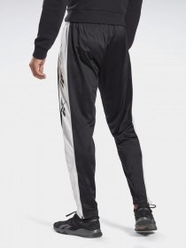 Спортивні штани Reebok TE VECTOR модель GL3153 Фото