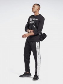 Спортивні штани Reebok TE VECTOR модель GL3153 Фото