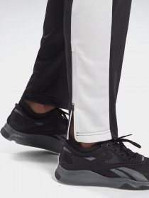 Спортивні штани Reebok TE VECTOR модель GL3153 Фото