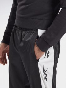 Спортивні штани Reebok TE VECTOR модель GL3153 Фото