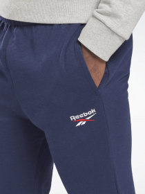 Штаны спортивные Reebok IDENTITY модель GL3163 Фото