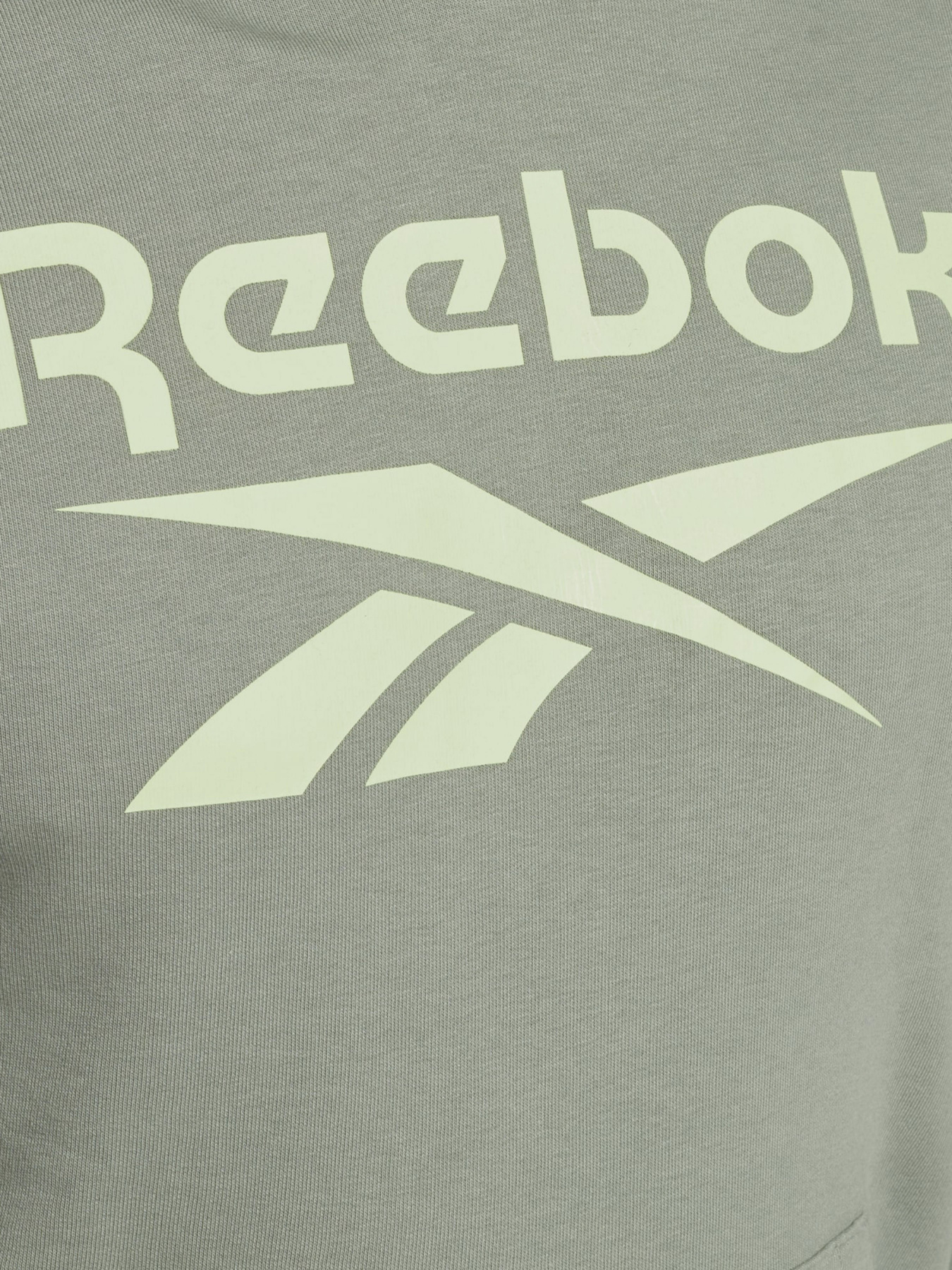 Худи Reebok IDENTITY BIG LOGO модель GI8507 Фото