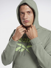 Худі Reebok IDENTITY BIG LOGO модель GI8507 Фото