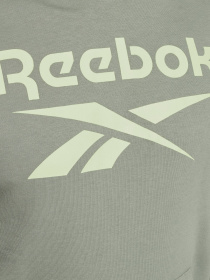 Худі Reebok IDENTITY BIG LOGO модель GI8507 Фото