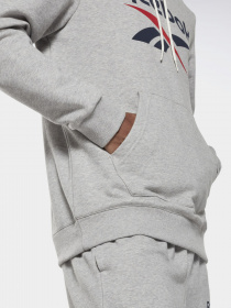 Худи Reebok IDENTITY BIG LOGO модель GI8659 Фото