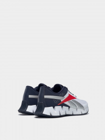 Кросівки для бігу Reebok Zig Dynamica 2 Модель FY9946 Фото