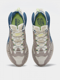 Кросівки для бігу Reebok ZIG KINETICA II модель FX9337 Фото