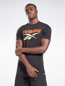 Спортивная футболка Reebok TRAINING VECTOR модель GI8399 Фото
