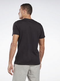 Футболка Reebok RI CLASSIC TEE модель GJ0639 Фото