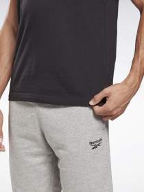 Футболка Reebok RI CLASSIC TEE модель GJ0639 Фото