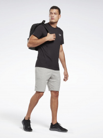 Футболка Reebok RI CLASSIC TEE модель GJ0639 Фото