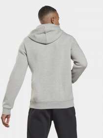 Худи Reebok RI FLEECE OTH HOODIE модель GT5790 Фото