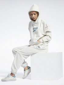 Худі Reebok CL F BIG LOGO FT HOODIE модель GS1738 Фото