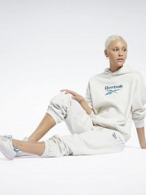 Штаны спортивные Reebok CL PF SM LOGO FT PANT модель GS1745 Фото