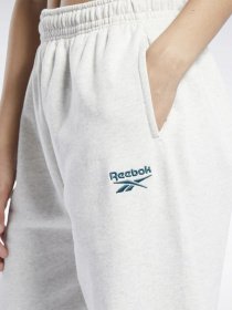 Спортивні штани Reebok CL PF SM LOGO FT PANT модель GS1745 Фото