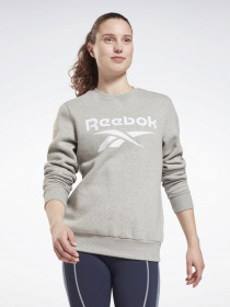 Свитшот Reebok RI BL FLEECE CREW модель GS9377 Фото
