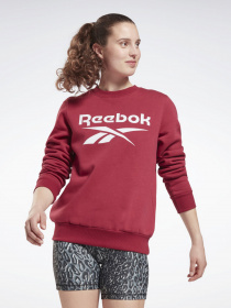 Свитшот Reebok RI BL FLEECE CREW модель GS9380 Фото