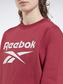 Світшот Reebok RI BL FLEECE CREW модель GS9380 Фото
