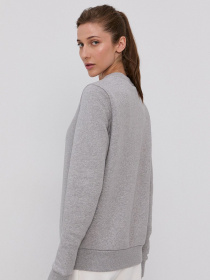 Свитшот Reebok RI FLEECE HOODY модель GS9386 Фото