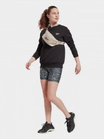 Свитшот Reebok RI FLEECE HOODY модель GS9387 Фото