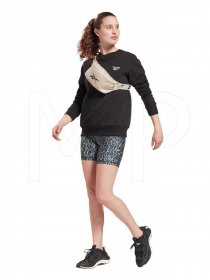 Свитшот Reebok RI FLEECE HOODY модель GS9387 Фото