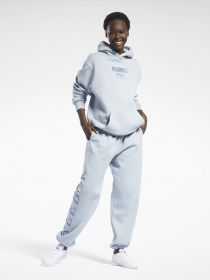 Худи Reebok Classics Oversize Fleece модель GV3321 Фото