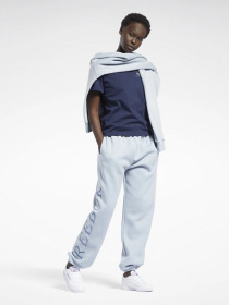 Штаны спортивные Reebok Classics Graphic Fleece модель H43026 Фото