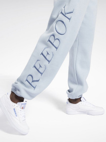 Штаны спортивные Reebok Classics Graphic Fleece модель H43026 Фото