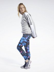 Свитшот Reebok MYT модель FU2389 Фото