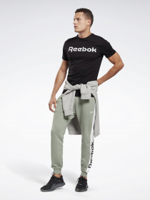 Футболка Reebok Graphic Series Linear Logo модель GJ0136 Фото