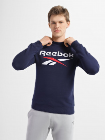 Свитшот Reebok Identity Big Logo Crew модель GJ0527 Фото