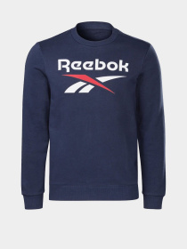 Світшот Reebok Identity Big Logo Crew модель GJ0527 Фото