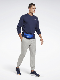 Світшот Reebok Identity Crew модель GJ0555 Фото