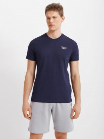 Футболка Reebok RI CLASSIC TEE модель GJ0641 Фото