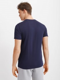 Футболка Reebok RI CLASSIC TEE модель GJ0641 Фото