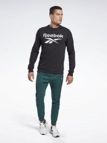 Свитшот Reebok Identity Big Logo Crew модель GL3166 Фото