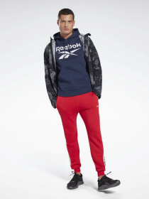 Худі Reebok Identity Big Logo модель GQ3538 Худі Reebok Identity Big Logo модель GQ3538 Фото