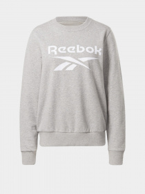 Світшот Reebok RI BL French Terry модель GQ9497 Фото