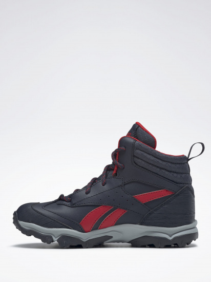 Черевики Reebok Rugged Runner Mid модель FW8554 — фото - INTERTOP