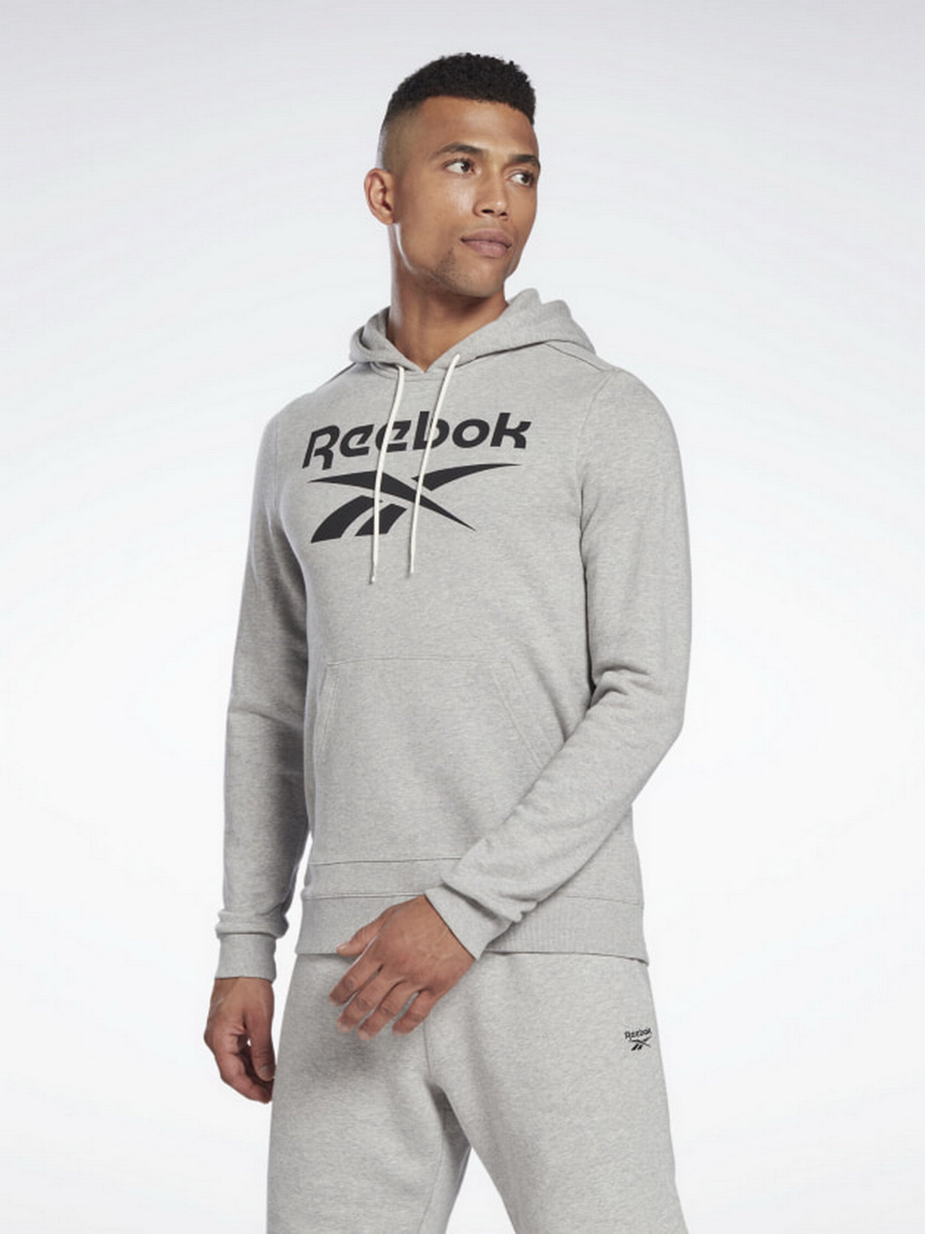 Худи Reebok Identity Big Logo модель H54477 Фото