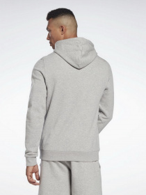 Худи Reebok Identity Big Logo модель H54477 Фото