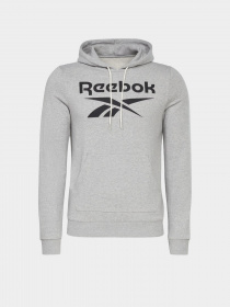 Худи Reebok Identity Big Logo модель H54477 Фото