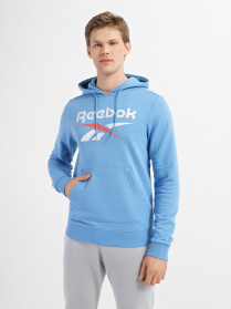 Худи Reebok Identity Big Logo модель H54478 Фото