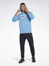 Худи Reebok Identity Big Logo модель H54478 Фото