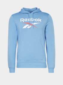 Худи Reebok Identity Big Logo модель H54478 Фото
