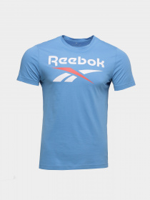 Футболка Reebok  Ri Big Logo Tee модель HD4217 Фото