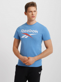 Футболка Reebok  Ri Big Logo Tee модель HD4217 Фото